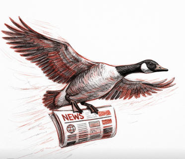 NewsGoose